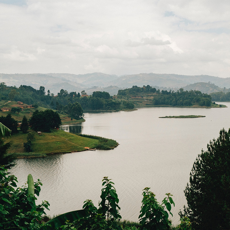 Gorilla Trekking and Visit Lake Bunyonyi