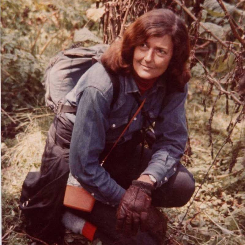 Who Were the Three Trimates? Fossey, Goodall & Galdikas